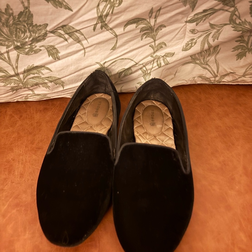 Black Velvet Birdies Loafers